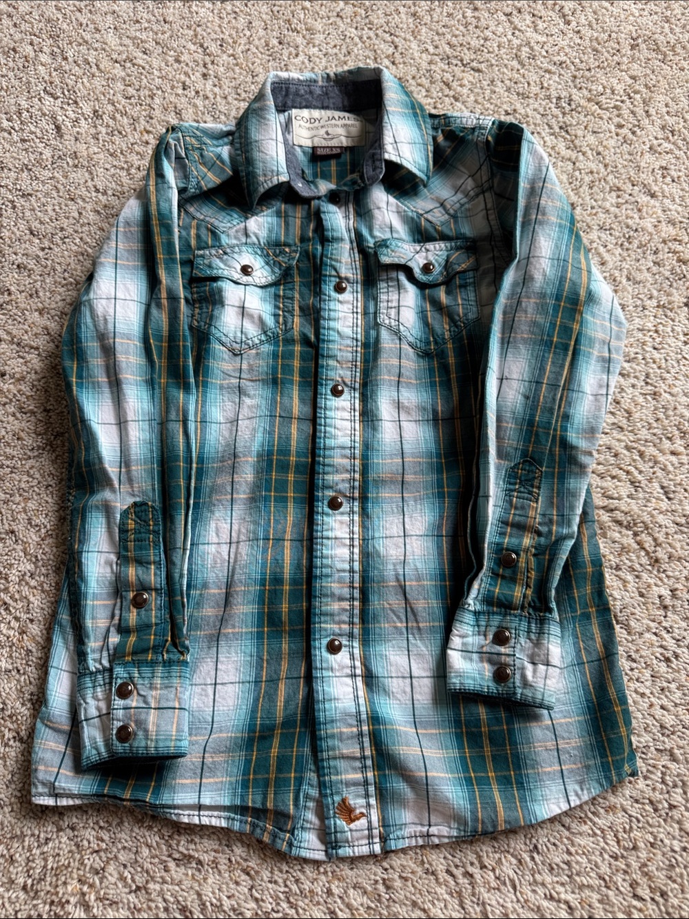 Boys' Button-Up Shirt by Cody James